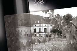 BODEGAS LOS PINOS
