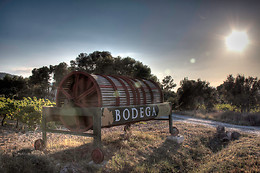BODEGAS LOS PINOS