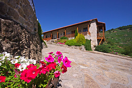 ADEGAS E VIÑEDOS VIA ROMANA
