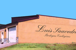 BODEGA ECOLOGICA LUIS SAAVEDRA