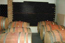 BODEGA ECOLOGICA LUIS SAAVEDRA
