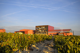 BODEGA DIAZ BAYO