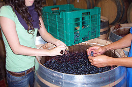 BODEGA RAMON RAMOS