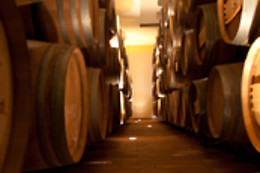 BODEGA DIAZ BAYO