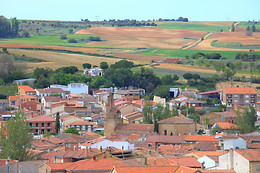 BODEGA RAMON RAMOS