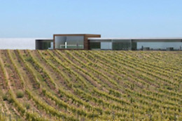 BODEGAS FINCA MONTEPEDROSO