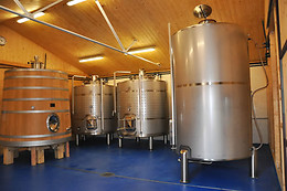 ARBAS BODEGAS Y VIÑEDOS