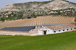 ARBAS BODEGAS Y VIÑEDOS