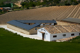 ARBAS BODEGAS Y VIÑEDOS