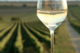 BODEGA GARGALO
