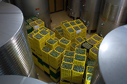BODEGA ADEGA EIDOS