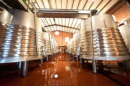 PAGO DE LAS ENCOMIENDAS VIÑEDOS Y BODEGAS