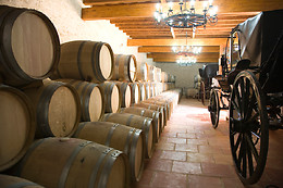 BODEGAS LOS PINOS