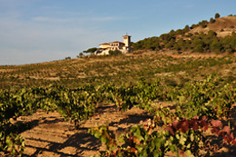 BODEGA PIEDRA