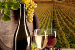 BODEGA GARGALO