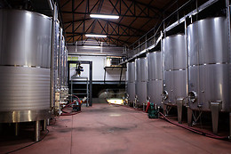 BODEGAS Y VIÑEDOS PEDRO GARCIA