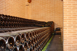 BODEGAS Y VIÑEDOS PEDRO GARCIA