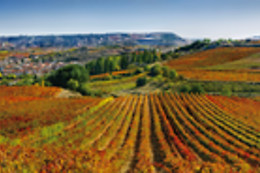 BODEGA MARQUES DE CACERES