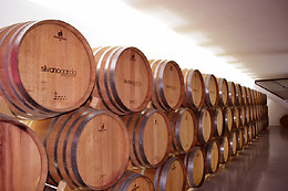 BODEGA SILVANO GARCIA