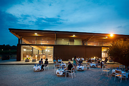 BODEGA LA VINYETA