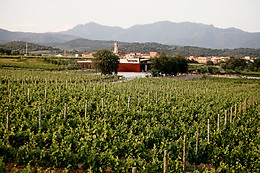 BODEGA LA VINYETA