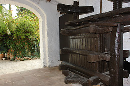 CAVES MONTAU DE SADURNI