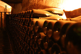 CAVES MONTAU DE SADURNI