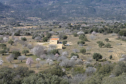 BODEGA AUMESQUET GARRIDO