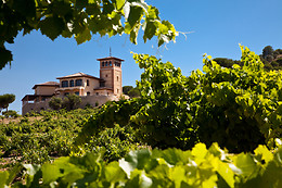 BODEGA PIEDRA