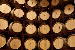 BODEGA PIEDRA