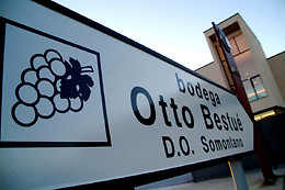 BODEGA OTTO BESTUÉ