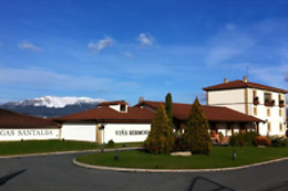 BODEGAS LOS PINOS