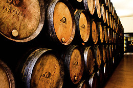 BODEGAS LOS PINOS