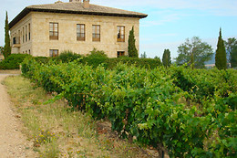 BODEGA TORRE DE OÑA
