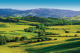 La Pineta