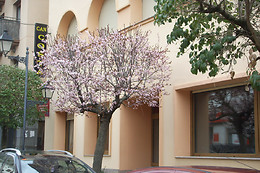 HOTEL CAN COSTA