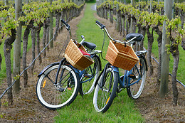 Beaune Velo Tour