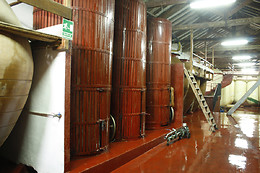 BODEGAS JESUS DIAZ E HIJOS