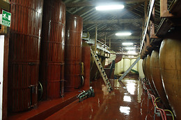 BODEGAS JESUS DIAZ E HIJOS