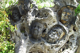 LA POSADA DEL RECOVERO