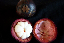 Coriandre et Citronnelle