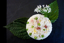 Coriandre et Citronnelle