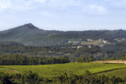 BODEGA ADEGA VALDES