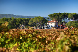 BODEGA FINCA VILLACRECES & BODEGA IZADI