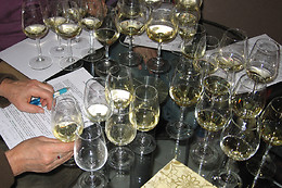 Agelasto catherine degustation