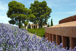 HOTEL CIGARRAL EL BOSQUE