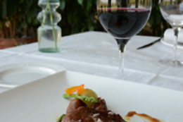HOTEL CIGARRAL EL BOSQUE