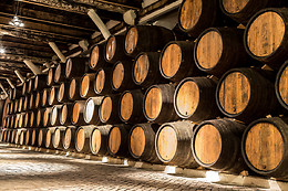 VINS GRAU