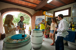 CELLERS BARONIA DEL MONTSANT