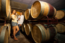 CELLERS BARONIA DEL MONTSANT
